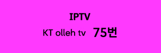 IPTV KT olleh tv 75번