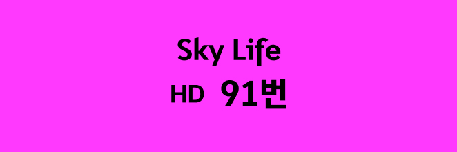 Sky Life HD 91번